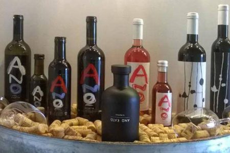 Olive Oil and Wine tasting at Anoskeli Winery